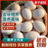 正宗土雞蛋農家散養(yǎng)新鮮農村自養(yǎng)野外笨雞蛋